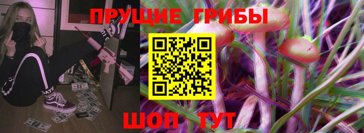 Псилоцибиновые грибы прущие грибы  Тольятти  Галлюциногенные грибы мицелий 