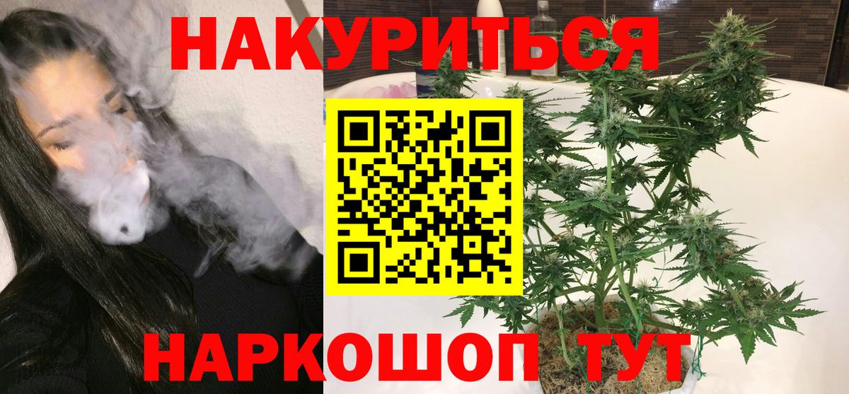 Бошки Шишки планчик Тольятти